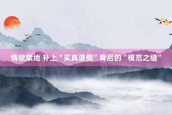 情欲禁地 补上“买真退假”背后的“模范之缝”