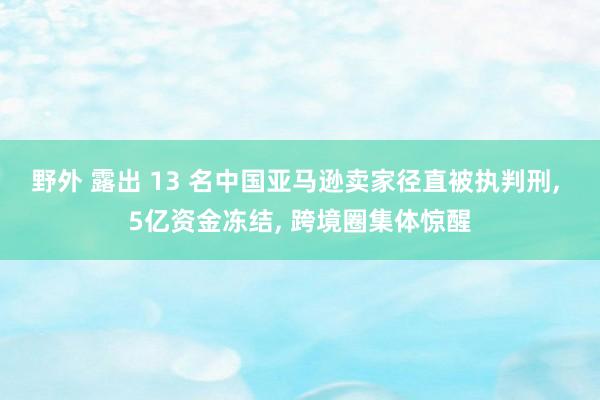 野外 露出 13 名中国亚马逊卖家径直被执判刑， 5亿资金冻结， 跨境圈集体惊醒