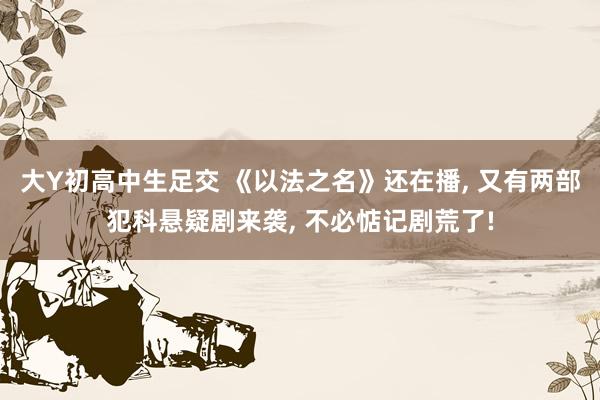 大Y初高中生足交 《以法之名》还在播， 又有两部犯科悬疑剧来袭， 不必惦记剧荒了!
